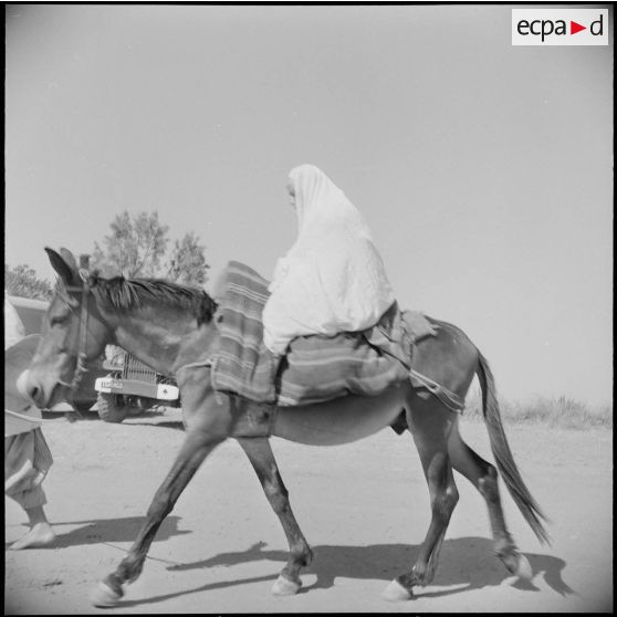 Assistance médicale à Orléansville. [Description en cours]