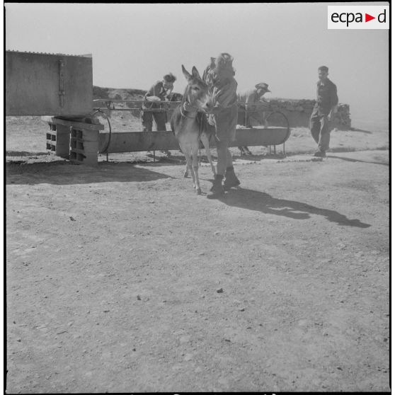 Le 2/117e RI (117e régiment d'infanterie) à El-Kalaa et Foundouk. [Description en cours]