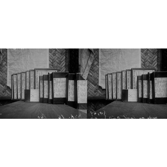 1330. Essai de profondeur de champ. [légende d'origine]