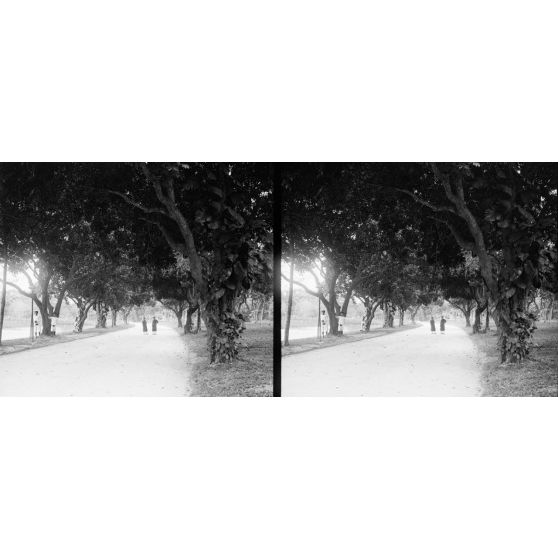 1337. Promenade au jardin botanique d’Hanoï.Autre entrée du jardin. [légende d'origine]