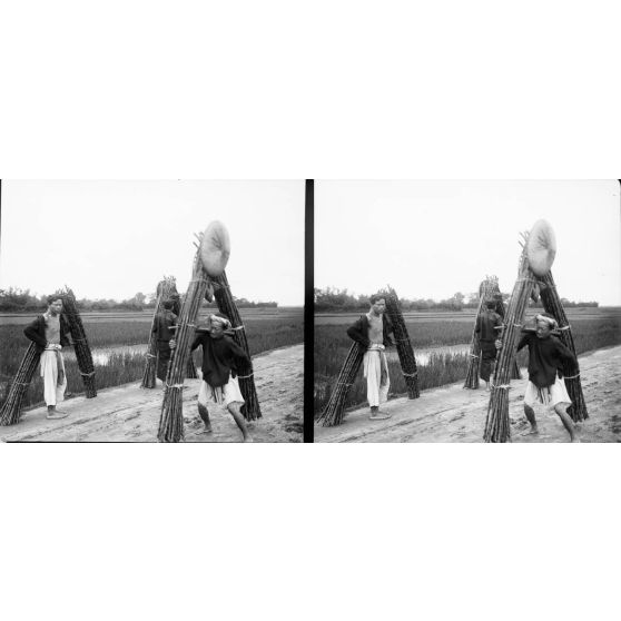 1374. Porteurs de canne à sucre. [légende d'origine]