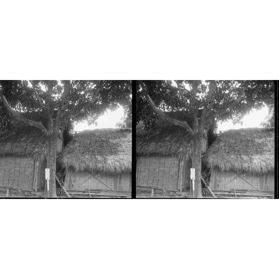 1416. Tête exposée. [légende d'origine]