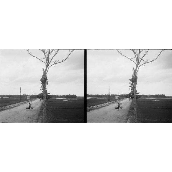 1424. Tête exposée. [légende d'origine]