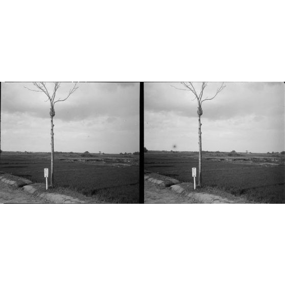 1425. Tête exposée. [légende d'origine]