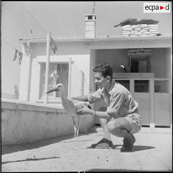 Le 1/42e RA à Chasseriau. [Description en cours]