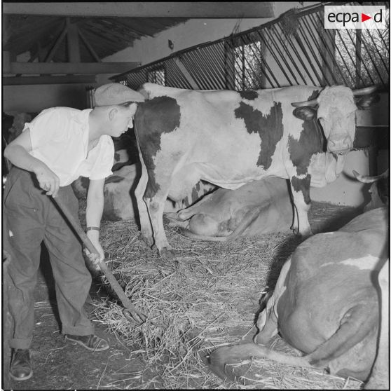 Photographie d’illustration pour l’article "Ma ferme en Algérie". [Description en cours]