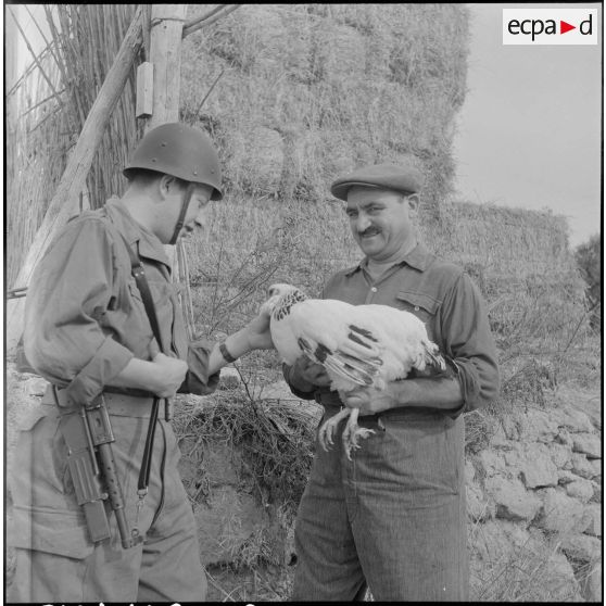 Photographie d’illustration pour l’article "Ma ferme en Algérie". [Description en cours]