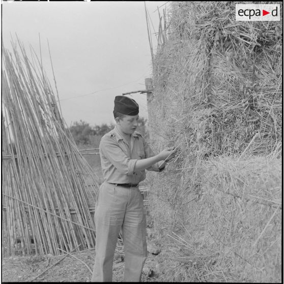 Photographie d’illustration pour l’article "Ma ferme en Algérie". [Description en cours]