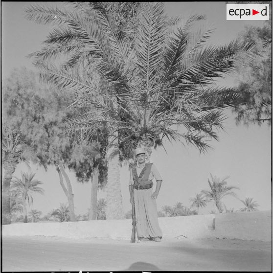 Compagnie saharienne de transport (CST) à Ouargla. [Description en cours]