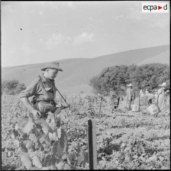 Le 21e RIC (21e régiment d'infanterie coloniale) à Marengo. [Description en cours]