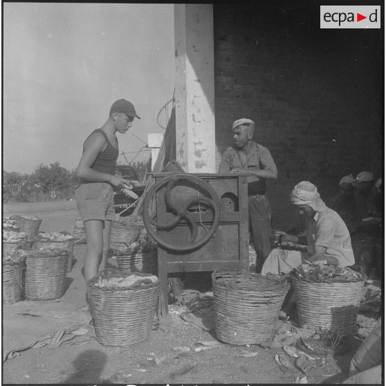 Groupe d'auto-défense (GAD) des fermes de la région de Boufarik à Blida. [Description en cours]