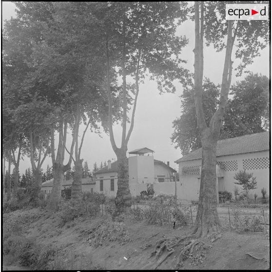 Groupe d'auto-défense (GAD) des fermes de la région de Boufarik à Blida. [Description en cours]