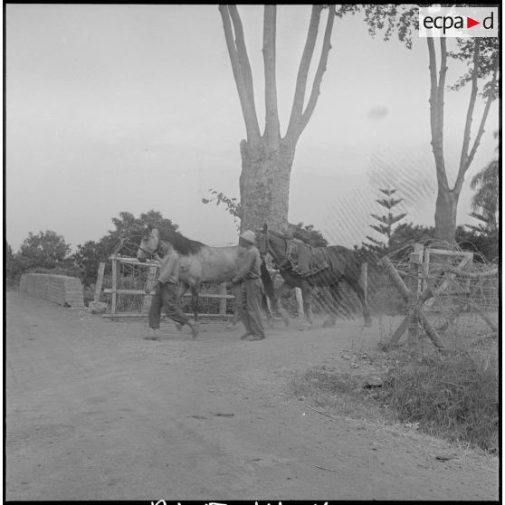 Groupe d'auto-défense (GAD) des fermes de la région de Boufarik à Blida. [Description en cours]