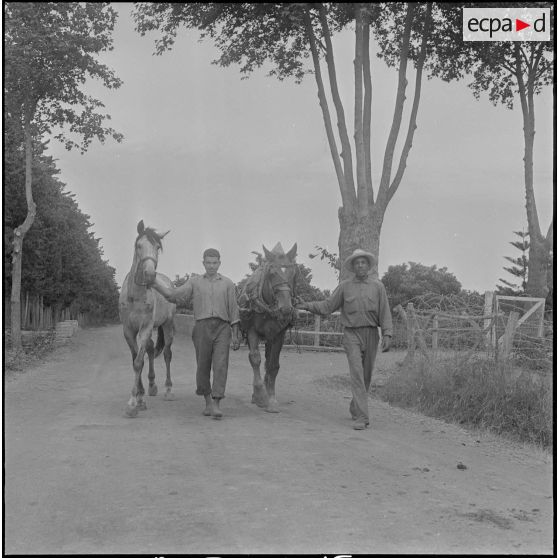 Groupe d'auto-défense (GAD) des fermes de la région de Boufarik à Blida. [Description en cours]