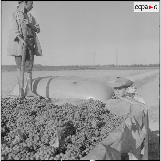 Groupe d'auto-défense (GAD) des fermes de la région de Boufarik à Blida. [Description en cours]