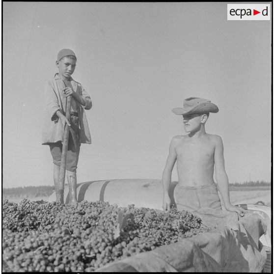 Groupe d'auto-défense (GAD) des fermes de la région de Boufarik à Blida. [Description en cours]