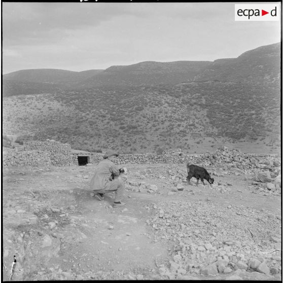 Le 403e RAA à Beni-Bahdel. [Description en cours]