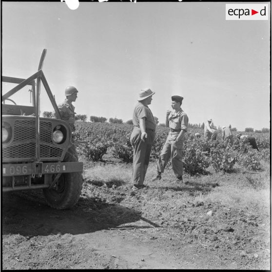 Le 48e BI à Eugene Etienne (Hennaya). [Description en cours]