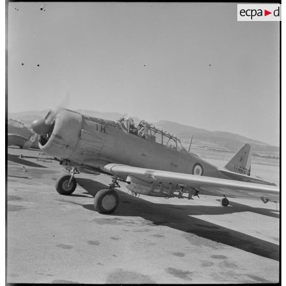 North American T-6 "Texan" sur la base aérienne de Bône. [Description en cours]