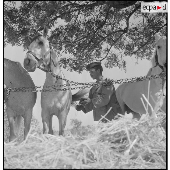 Le 3e groupe de compagnie nomade (3e GCN) à Ghaffar. [Description en cours]