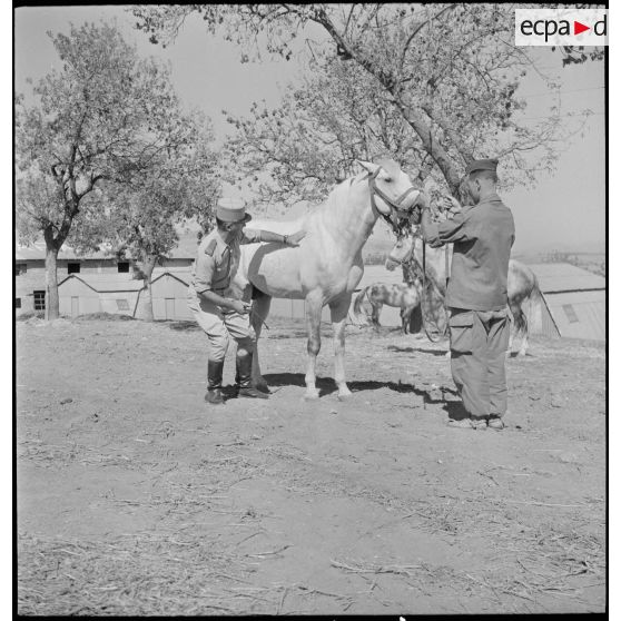 Le 3e groupe de compagnie nomade (3e GCN) à Ghaffar. [Description en cours]