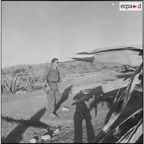 Le 20e bataillon de chasseurs à pied (20e BCP) à Palikao. [Description en cours]