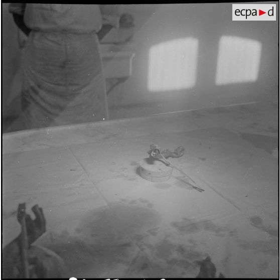 Dissection d'un cœur d’animal. [Description en cours]