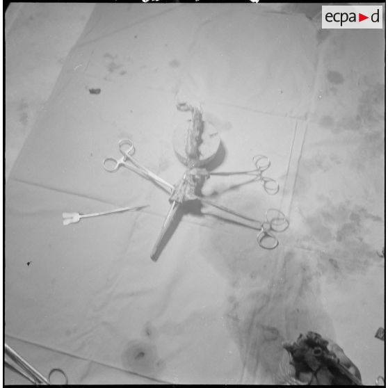 Dissection d'un cœur d’animal. [Description en cours]