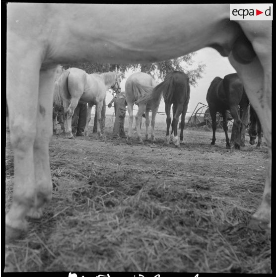 Le 9e GESA à Blandan. [Description en cours]