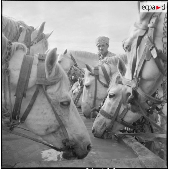 Le 9e GESA à Blandan. [Description en cours]