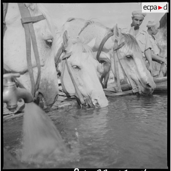 Le 9e GESA à Blandan. [Description en cours]