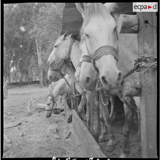 Le 9e GESA à Blandan. [Description en cours]