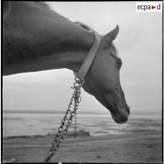 Le 9e GESA à Blandan. [Description en cours]