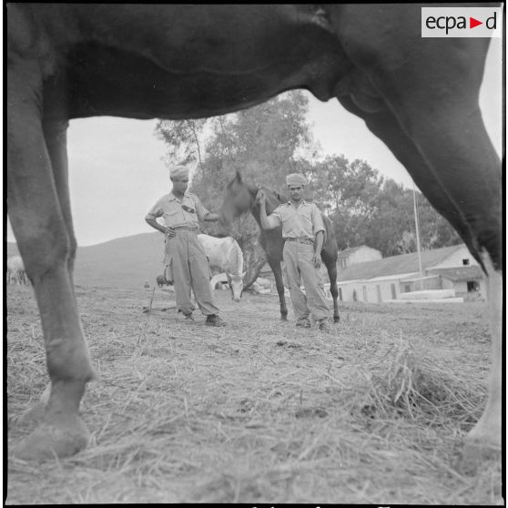 Le 9e GESA à Blandan. [Description en cours]