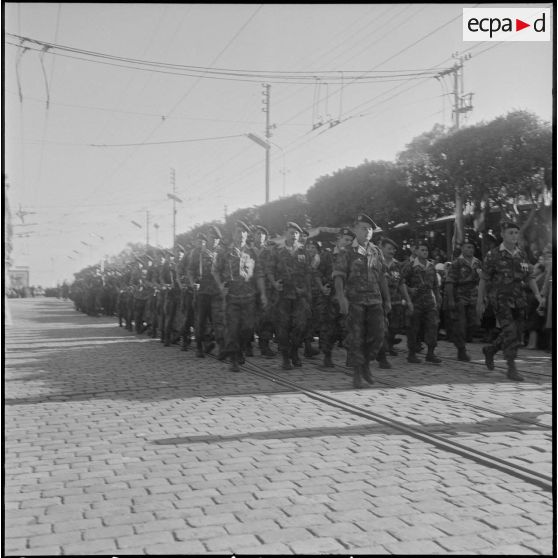 Cérémonie du 11 novembre à Alger. [Description en cours]