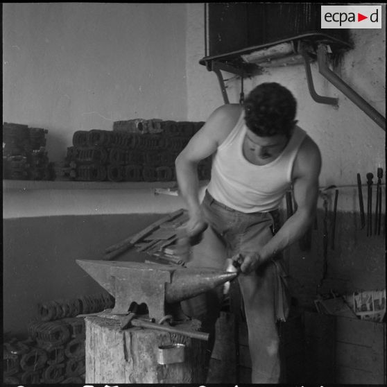 La 125e compagnie muletière à Tebessa. [Description en cours]