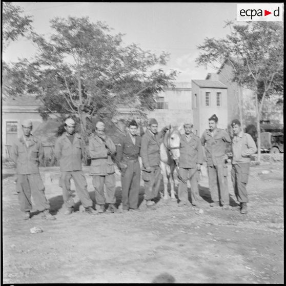 La 125e compagnie muletière à Tebessa. [Description en cours]