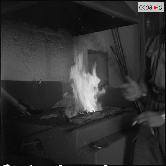 La 125e compagnie muletière à Tebessa. [Description en cours]