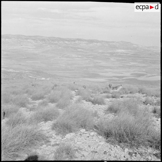 Le 81e BI (81e bataillon d'infanterie) à Cheria. [Description en cours]