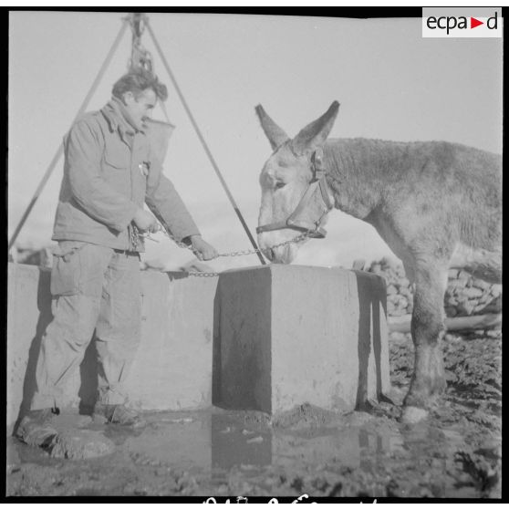 Vie quotidienne au 8e régiment d'infanterie motorisé. [Description en cours]