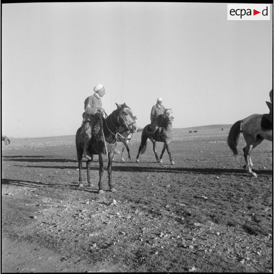 Vie quotidienne au 8e régiment d'infanterie motorisé. [Description en cours]