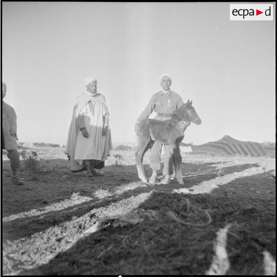 Vie quotidienne au 8e régiment d'infanterie motorisé. [Description en cours]