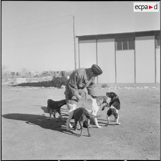 Vie quotidienne au 8e régiment d'infanterie motorisé. [Description en cours]