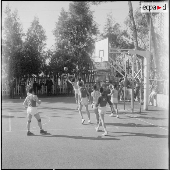 Match de basket-ball. [Description en cours]