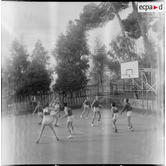 Match de basket-ball. [Description en cours]