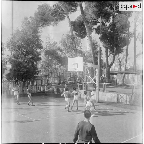Match de basket-ball. [Description en cours]