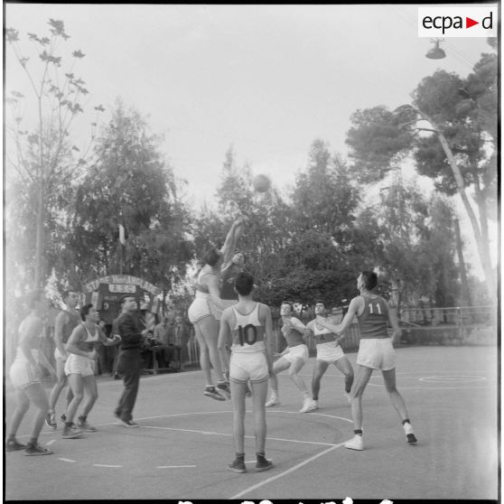 Match de basket-ball. [Description en cours]
