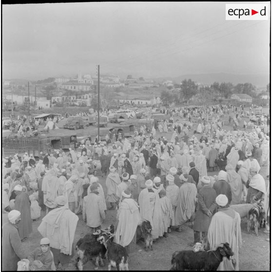 Action psychologique au marché à Bouira. [Description en cours]