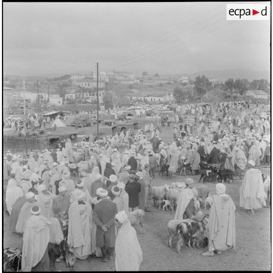 Action psychologique au marché à Bouira. [Description en cours]
