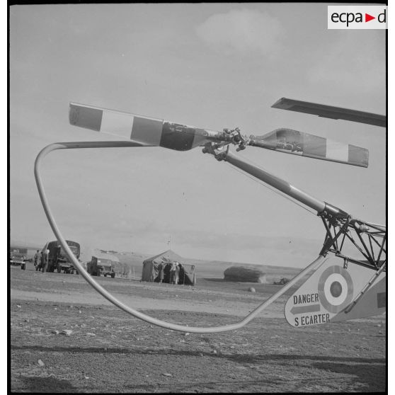 Le groupe d'hélicoptères n° 2 à Aïn-Arnat. [Description en cours]